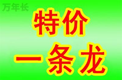 1754121072800330.jpg